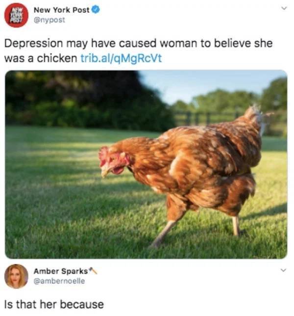 Funny Tweets (41 pics)