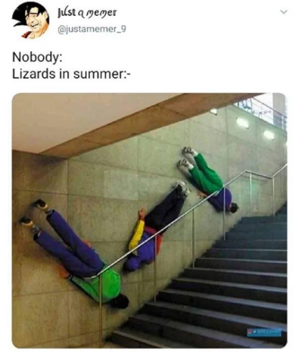 Funny Tweets (41 pics)