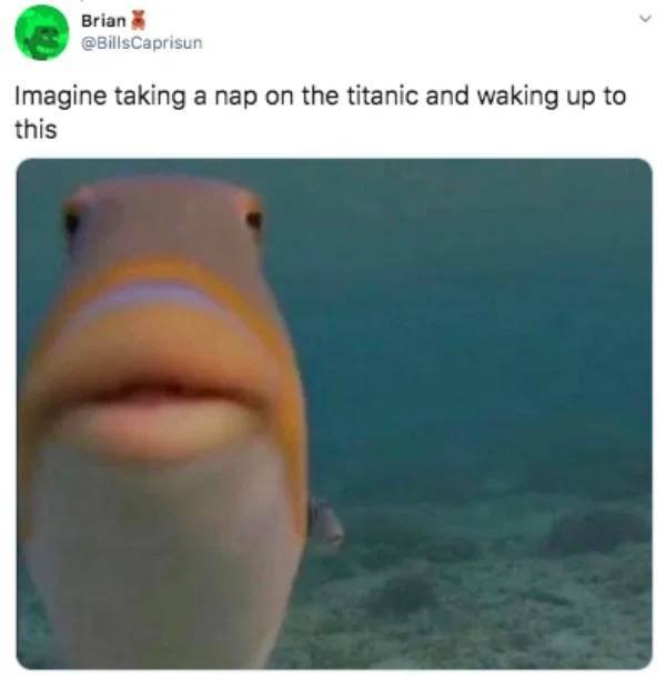 Funny Tweets (41 pics)