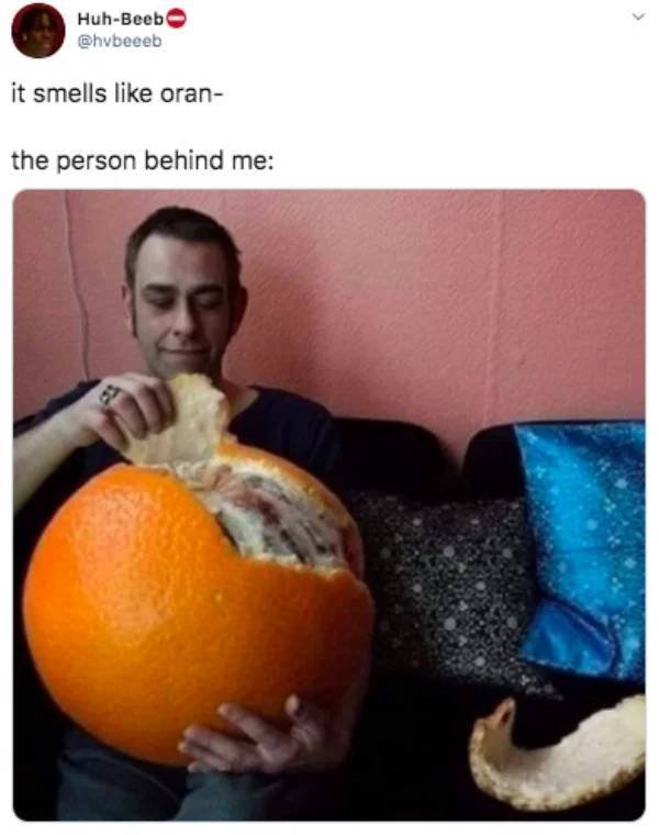 Funny Tweets (41 pics)