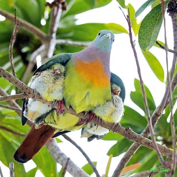 Acid Picdump. Part 2 (94 pics)