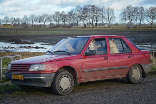 Acid Picdump. Part 2 (94 pics)