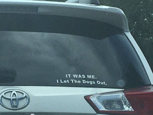 Acid Picdump. Part 2 (94 pics)