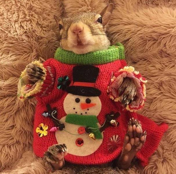 Acid Picdump. Part 2 (94 pics)
