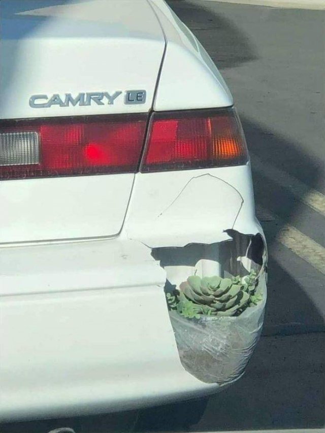 Acid Picdump. Part 2 (94 pics)
