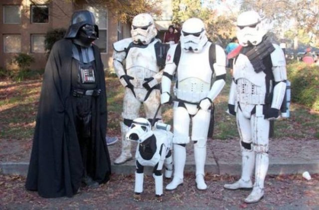Acid Picdump. Part 2 (94 pics)
