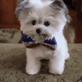 Acid Gifdump, August 11 (25 gifs)