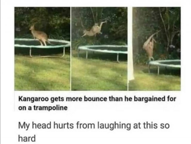 Random Funny Memes (29 pics)