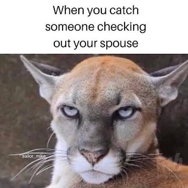 Marriage Memes (35 pics)