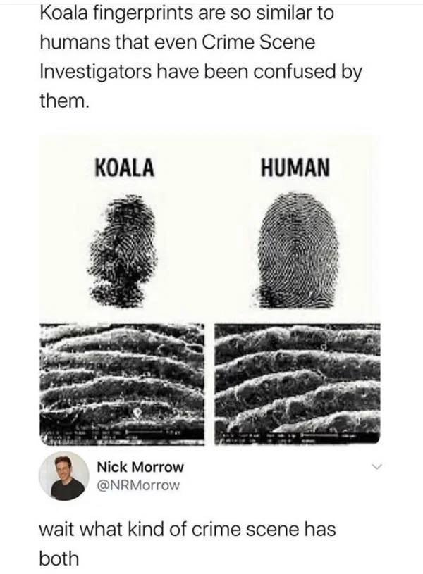 Random Funny Memes (29 pics)