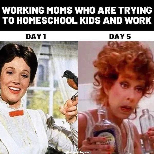 Back To School Memes (30 pics)