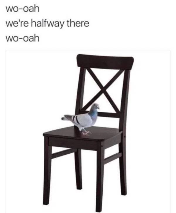 Random Funny Memes (29 pics)