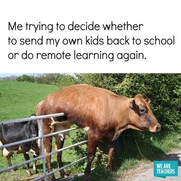 Back To School Memes (30 pics)