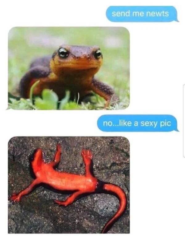 Random Funny Memes (29 pics)
