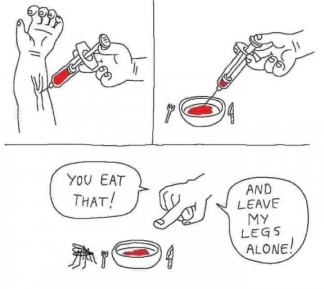Random Funny Memes (29 pics)
