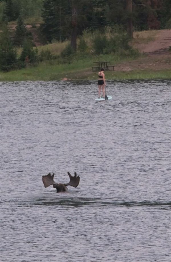 Only In Canada (26 pics)