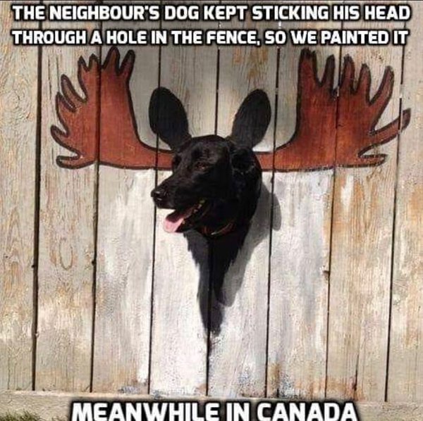 Only In Canada (26 pics)