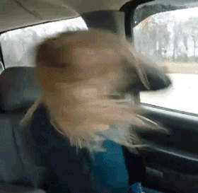 Hot Car Selfies (37 pics)