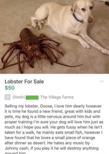These People Know How To Sell (24 pics)