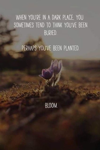 Pictures For Your Motivation (24 pics)