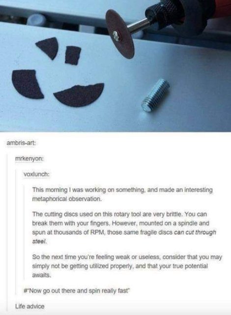 Pictures For Your Motivation (24 pics)