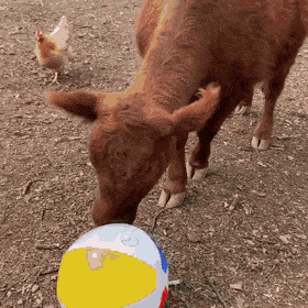 Acid Gifdump, August 12 (25 gifs)