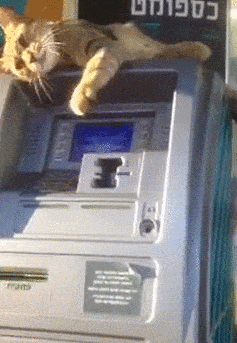 Acid Gifdump, August 12 (25 gifs)