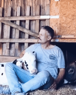 Acid Gifdump, August 12 (25 gifs)