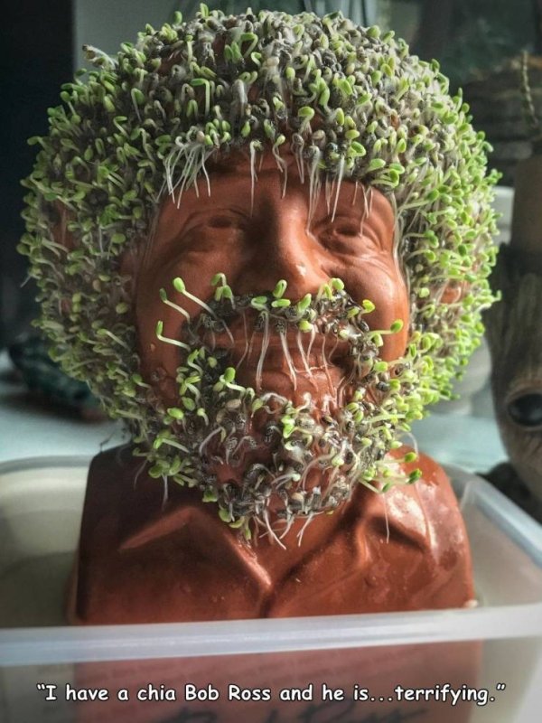 Awesome Things (40 pics)