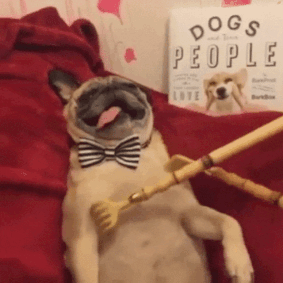 'How many…' Questions (20 pics)