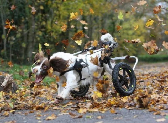 Acid Picdump. Part 2 (94 pics)