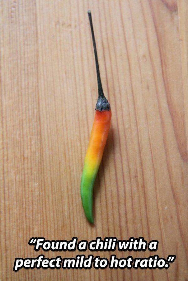 Acid Picdump. Part 2 (94 pics)