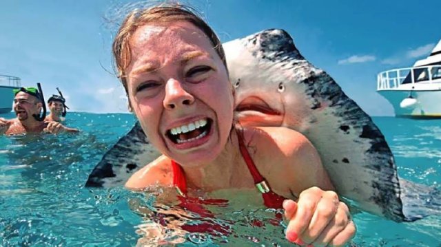 Acid Picdump. Part 2 (94 pics)