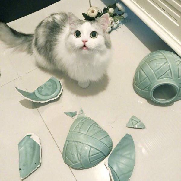 Acid Picdump. Part 2 (94 pics)