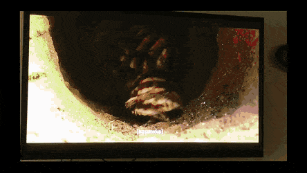 Acid Gifdump, August 13 (25 gifs)