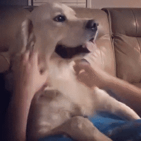 Acid Gifdump, August 13 (25 gifs)
