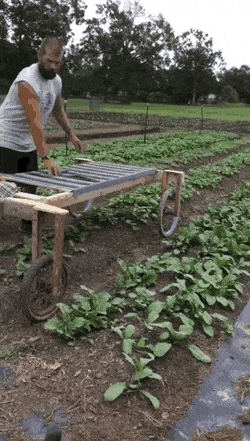 Acid Gifdump, August 13 (25 gifs)