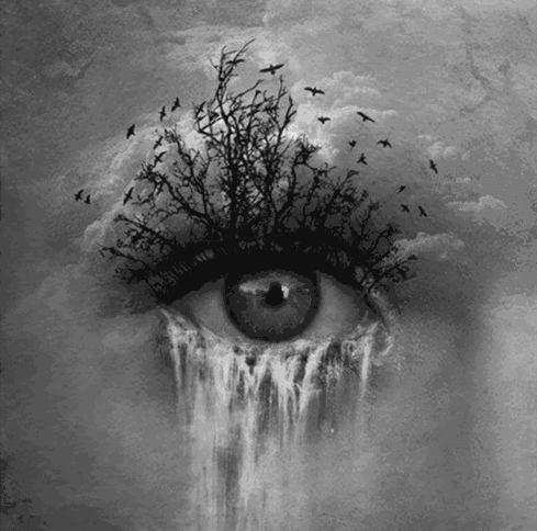 Surreal GIFs (28 gifs)