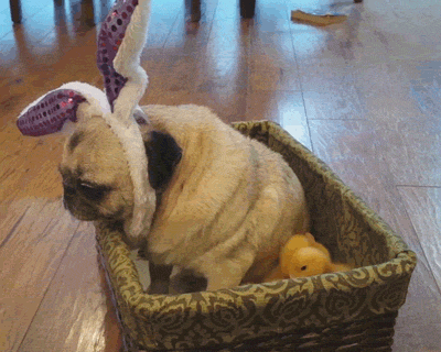 Wins And Fails (13 gifs)