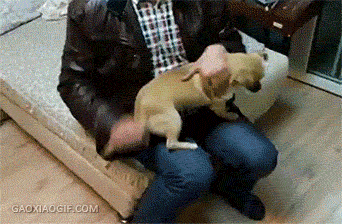 Wins And Fails (13 gifs)