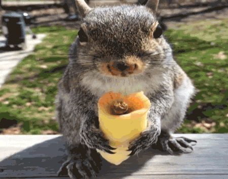 Wins And Fails (13 gifs)