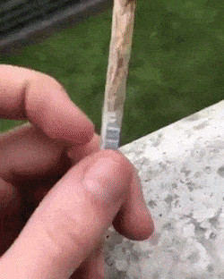Wins And Fails (13 gifs)
