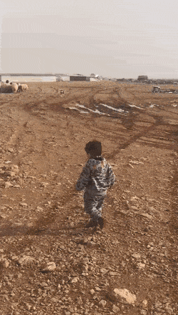 Wins And Fails (13 gifs)