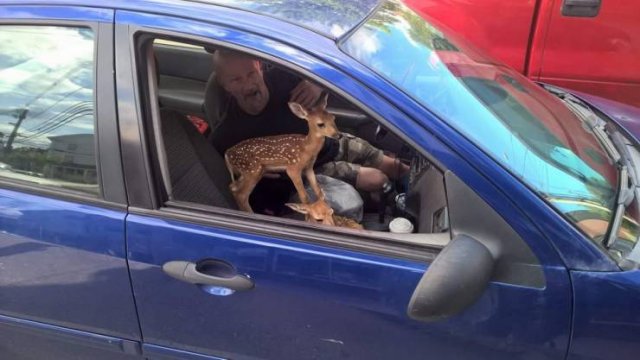 Acid Picdump. Part 1 (95 pics)