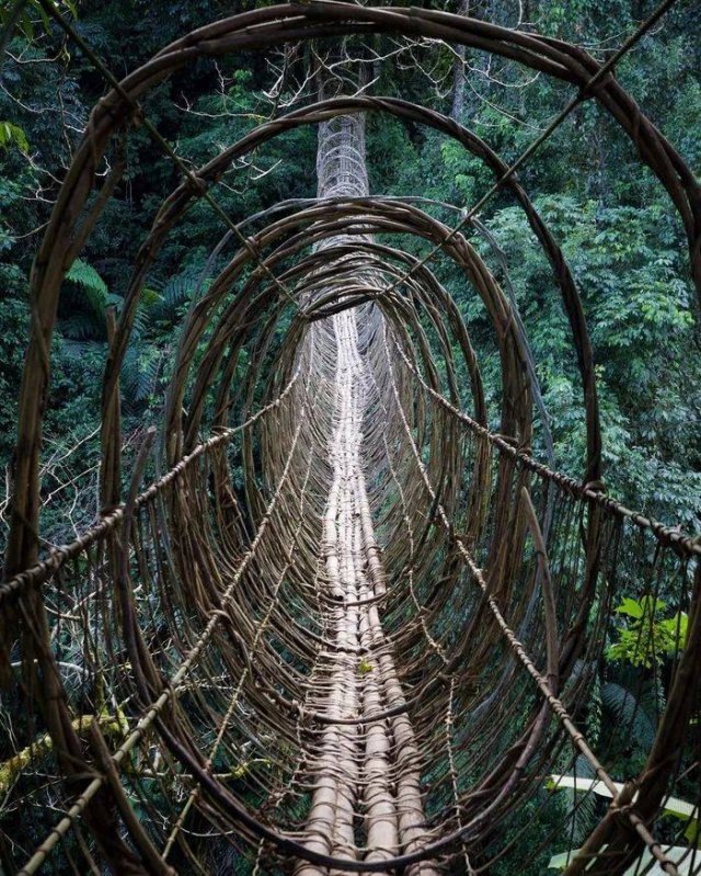 Acid Picdump. Part 1 (95 pics)
