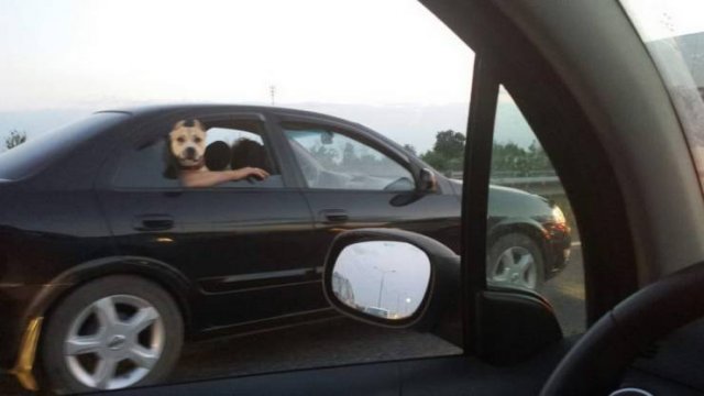 Acid Picdump. Part 1 (95 pics)