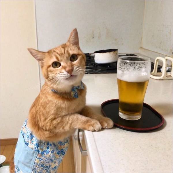 Acid Picdump. Part 1 (95 pics)