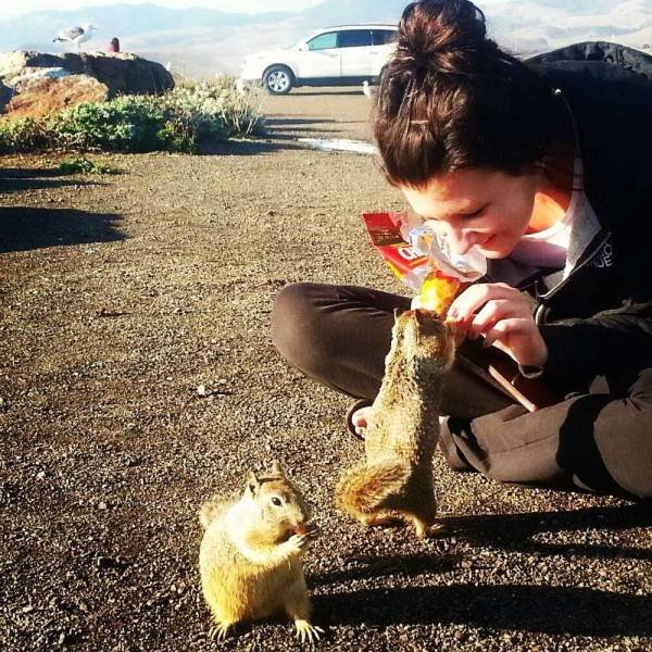 Acid Picdump. Part 1 (95 pics)