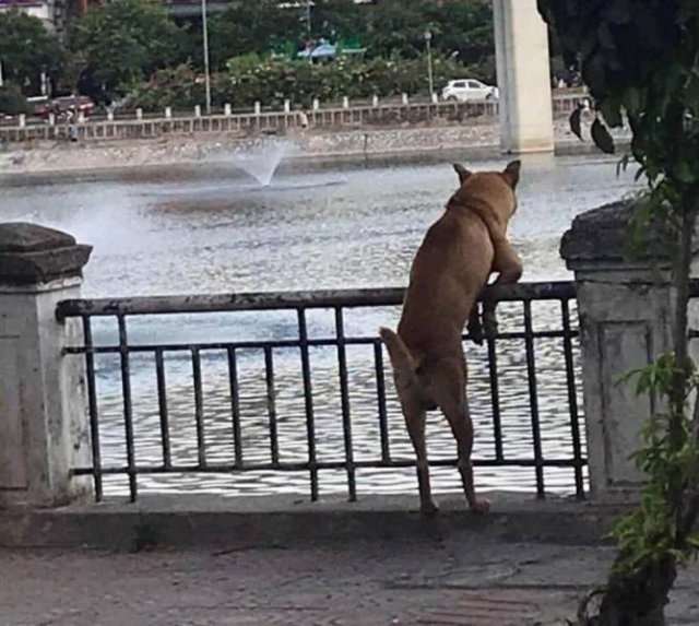 Acid Picdump. Part 1 (95 pics)