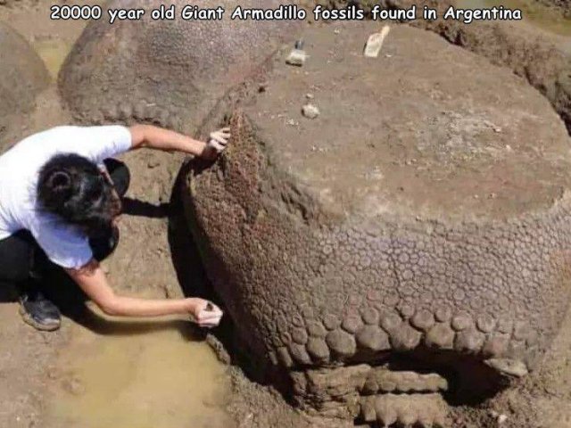 Acid Picdump. Part 1 (95 pics)